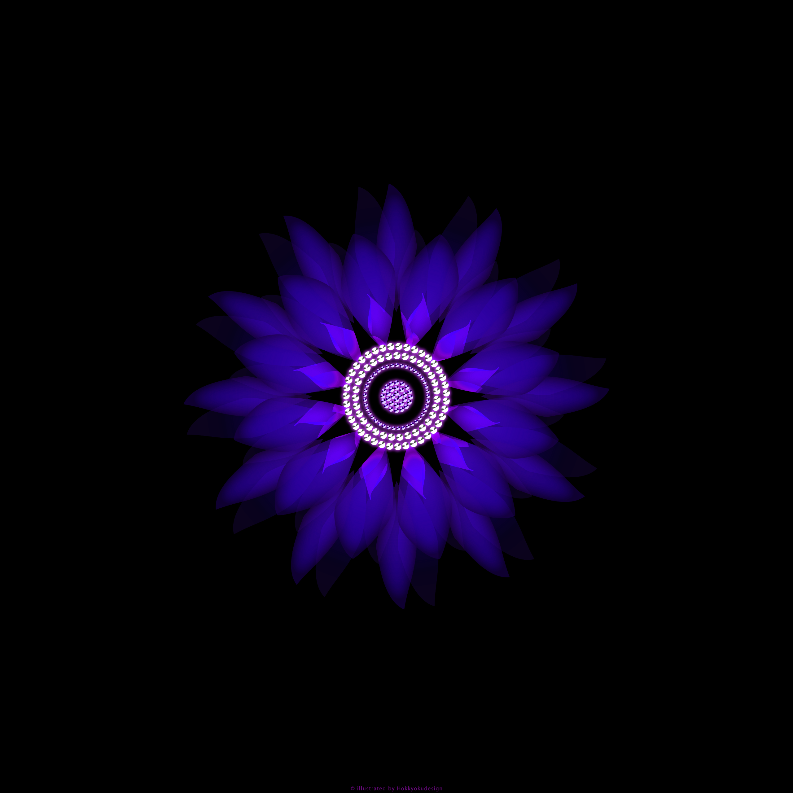 iPhone6,6 Plus用花の壁紙