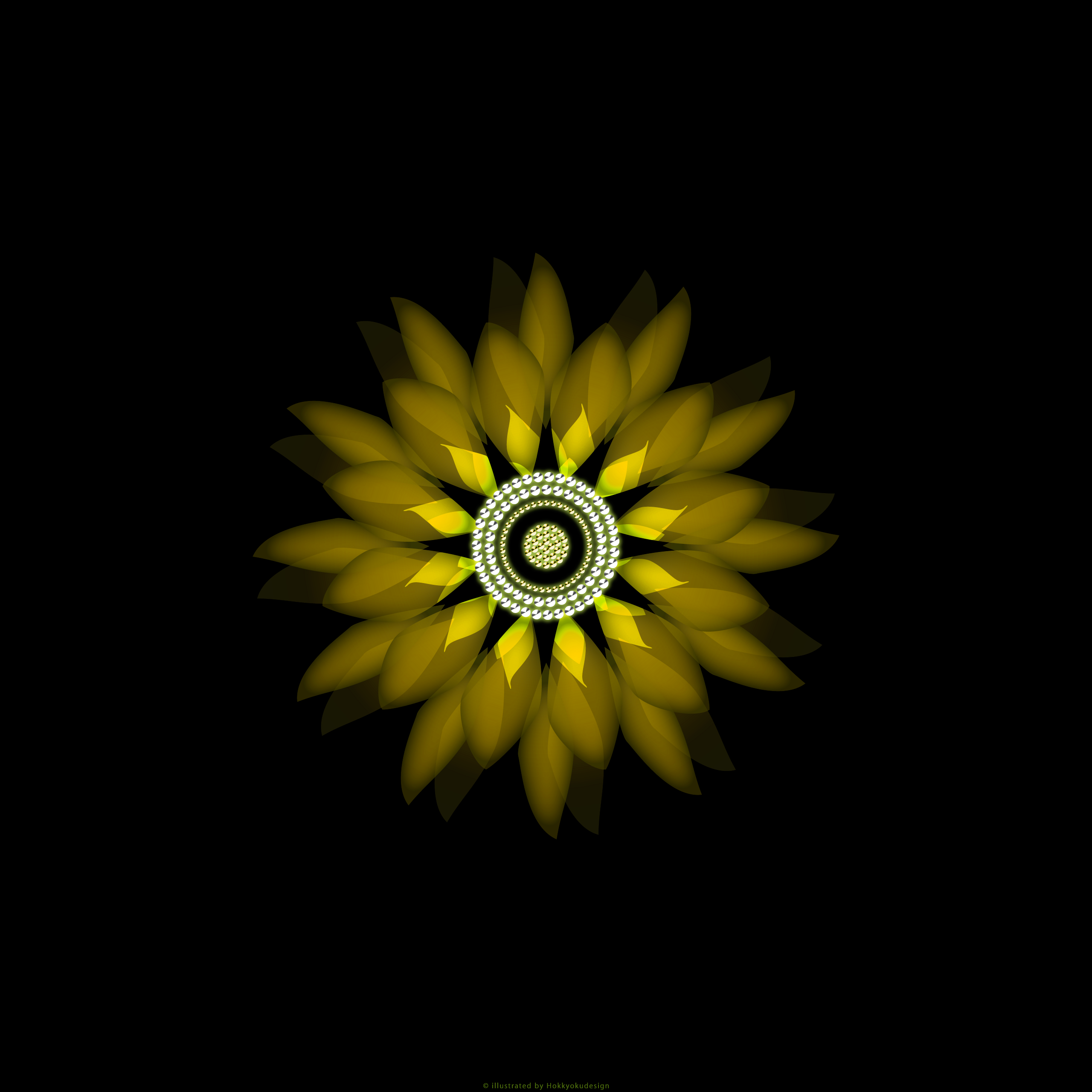 iPhone6,6 Plus用花の壁紙