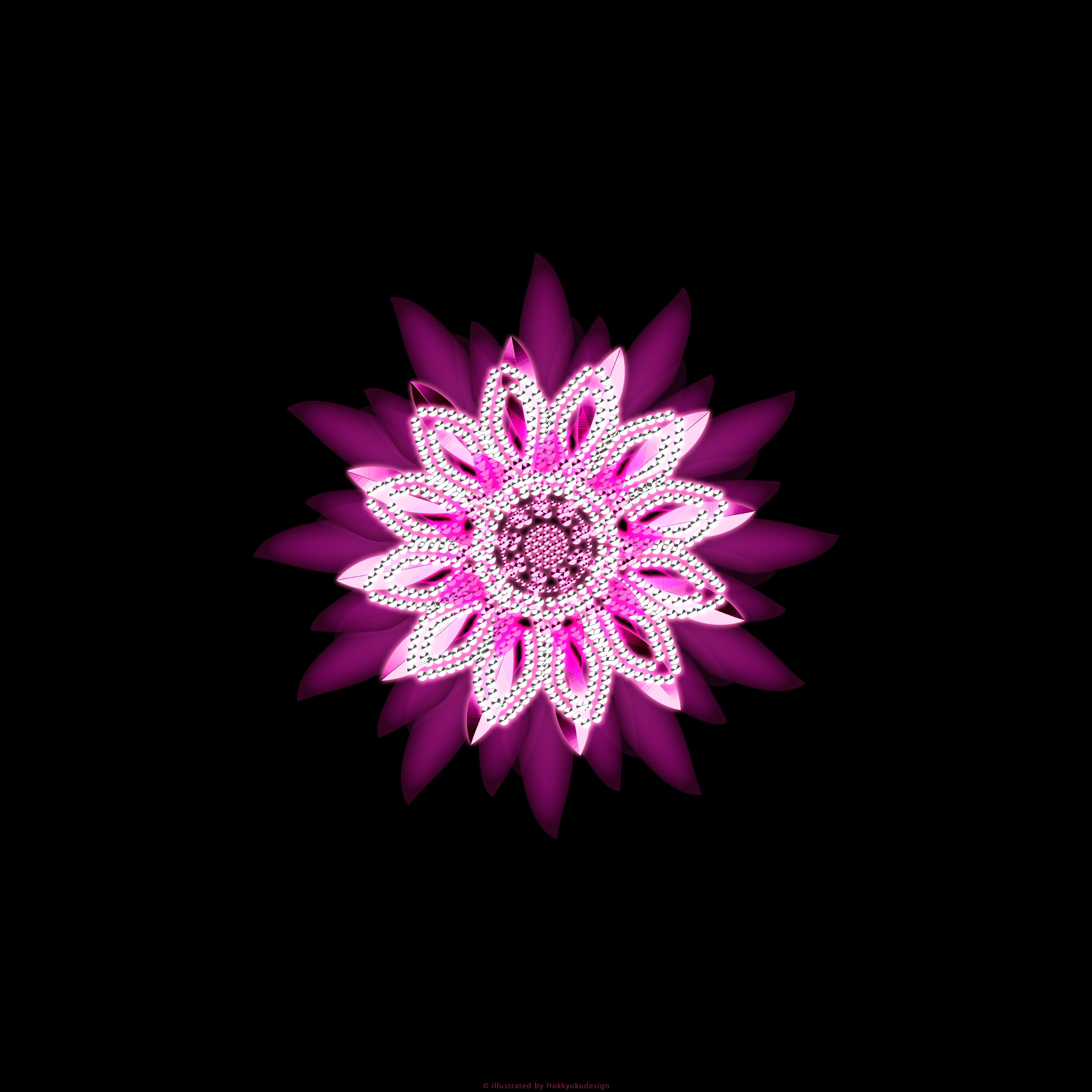 iPhone6,6 Plus用花の壁紙