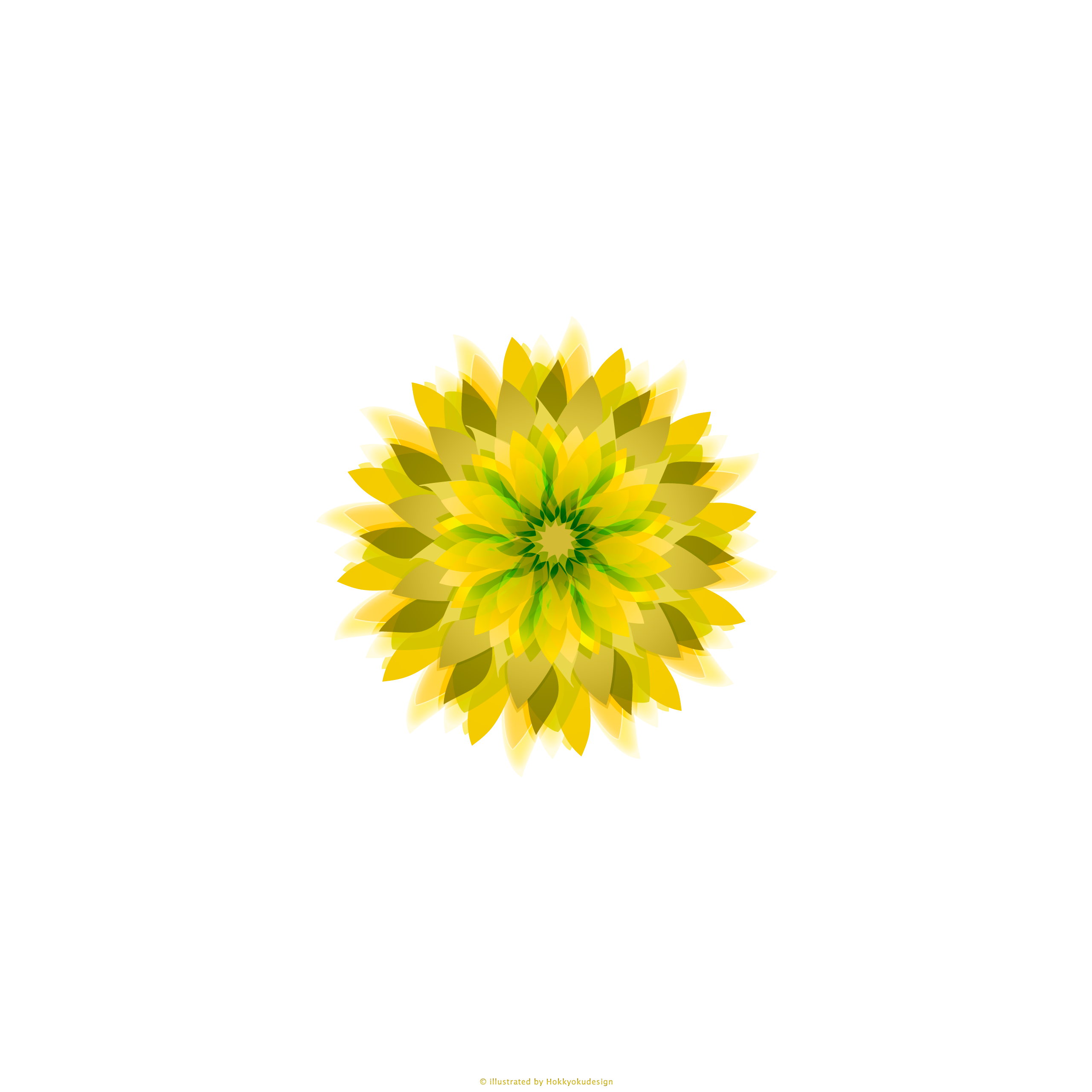 iPhone6,6 Plus用白背景黄色の花の壁紙