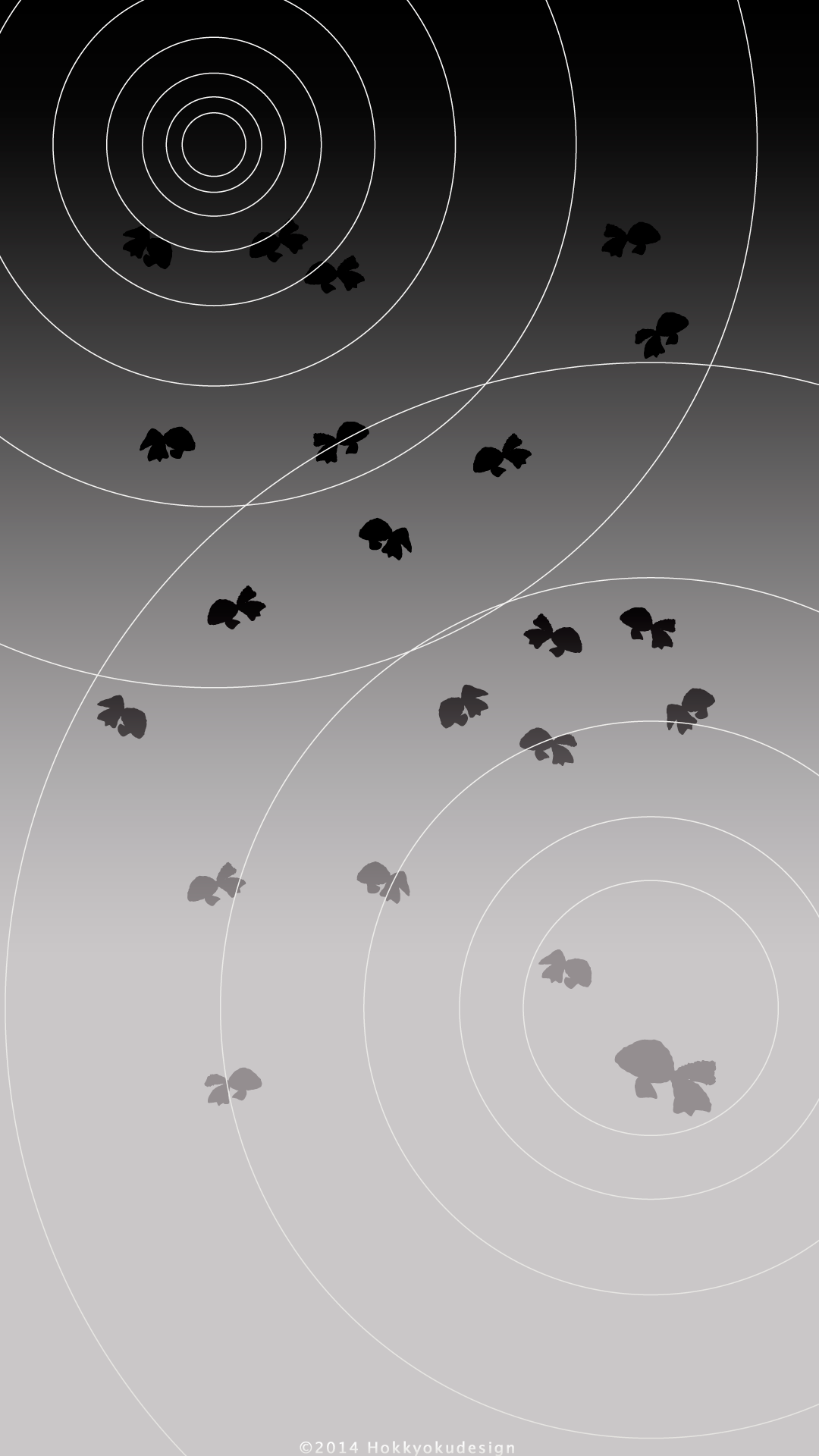 日本の夏の壁紙　黒い金魚