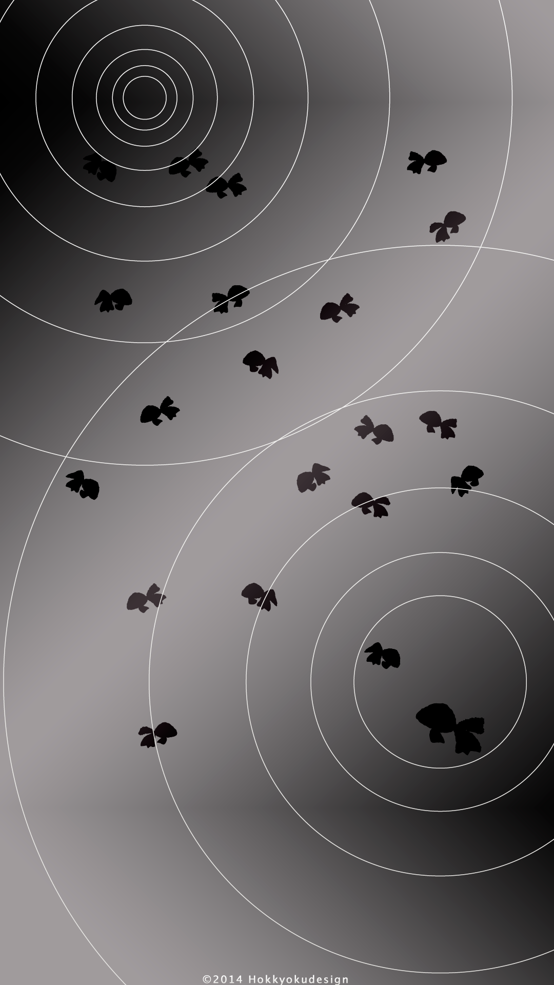 日本の夏の壁紙 黒い金魚