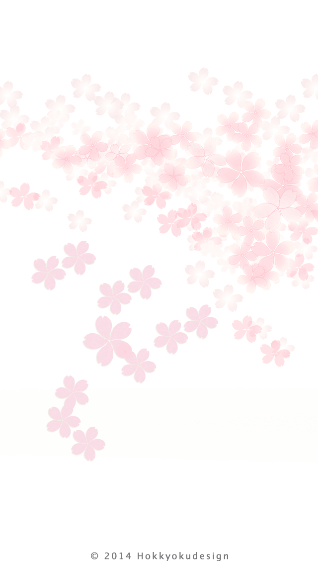 iPhone 日本の壁紙　四分咲き桜　白背景待受け壁紙