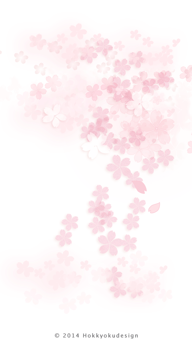 iPhone 日本の壁紙　七分咲き桜　白背景待受け壁紙
