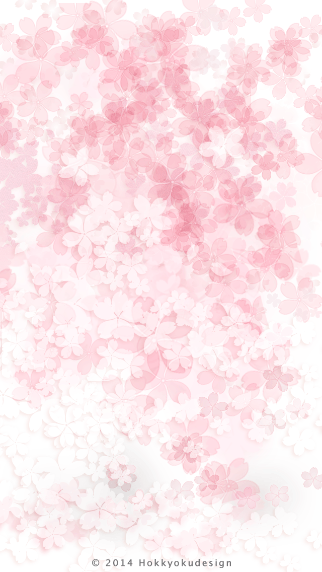 iPhone 日本の壁紙　六分咲き桜　白背景待受け壁紙