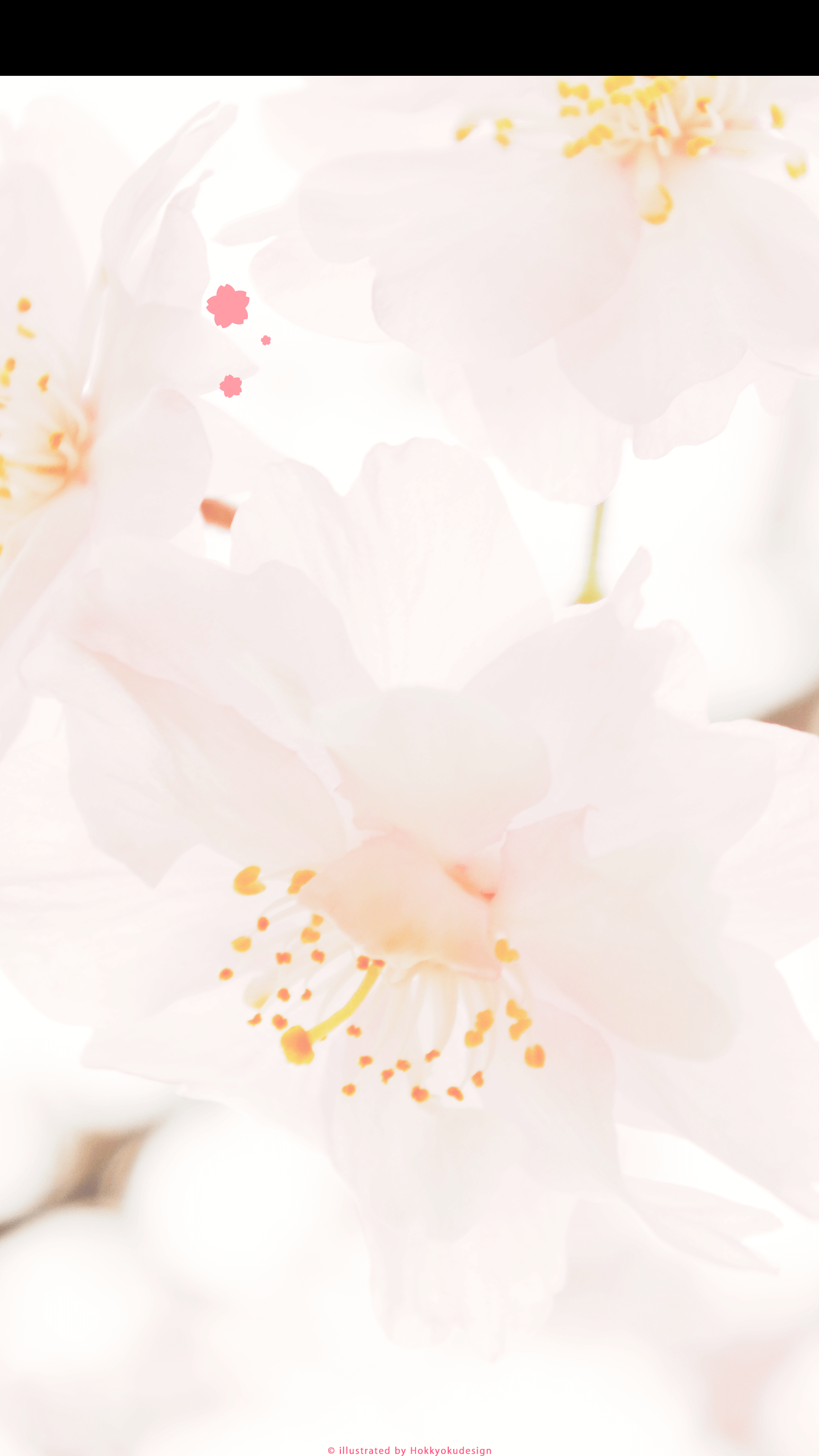 iPhone、Android用桜の壁紙