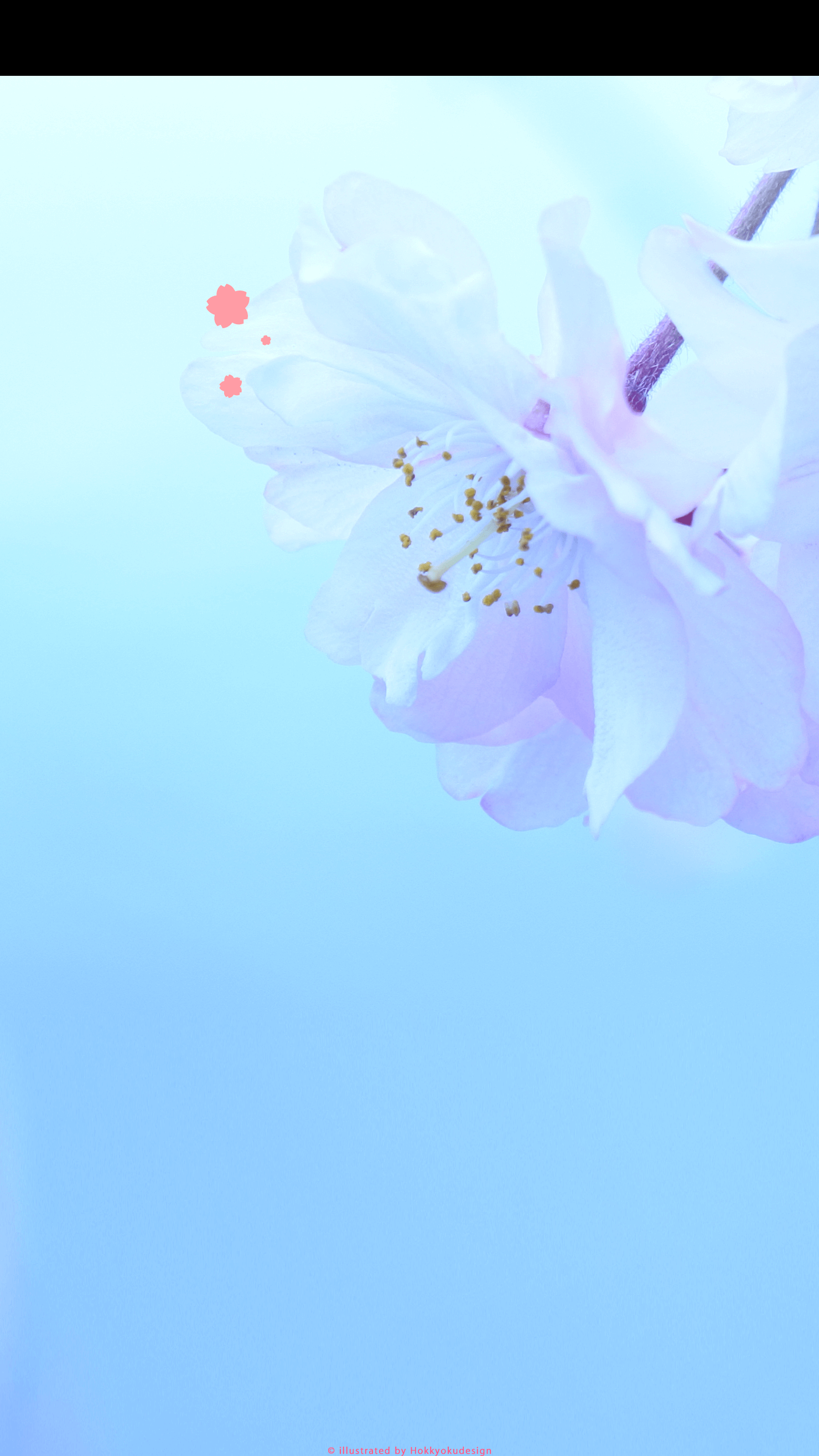 iPhone、Android用桜の壁紙