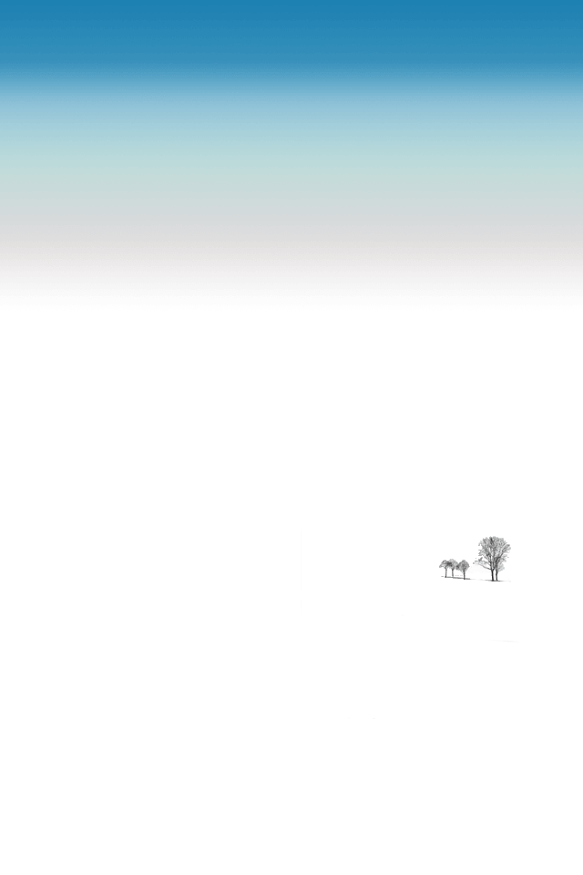 ドックが消える棚壁紙 iPhone4s